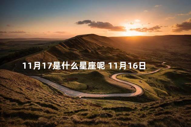 11月17是什么星座呢 11月16日是什么星座